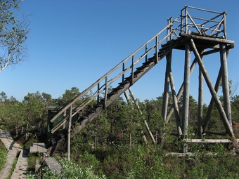 Tuhu raba vaatetorn. Piret Pungas-Kohv (2007)