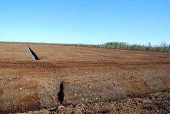 Laukasoo t&ouml;&ouml;tav turbav&auml;li, Marko Kohv