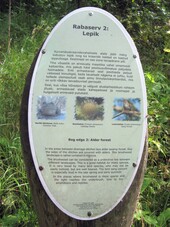 Nigula LK saatetekst