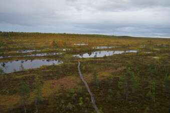 Pildid / - Mukri laudtee