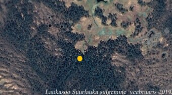 Pildid / - Laukasoo_timelapse_algus