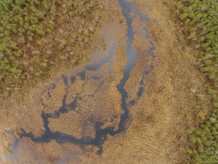 Pildid / - Puhatu droon soooja