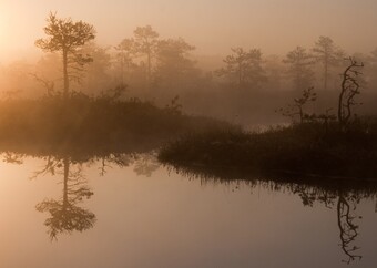Pildid / - M&uuml;stiline Endla Tauri P&auml;rn